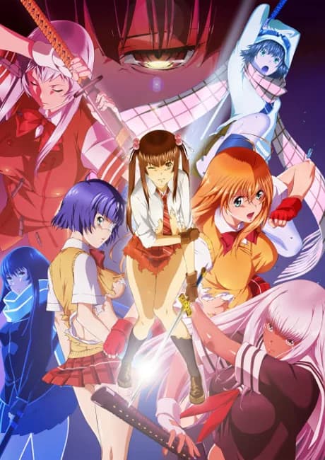 Okładka: Shin Ikkitousen