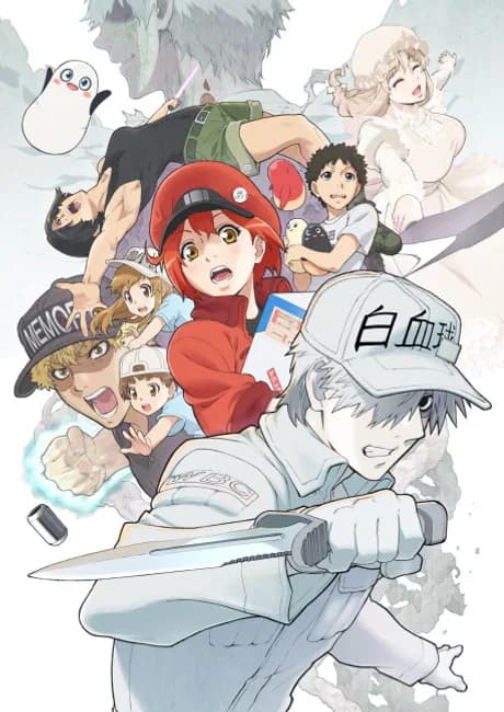 Okładka: Hataraku Saibou!!