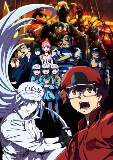 Okładka: Hataraku Saibou BLACK
