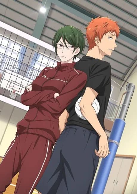 Okładka: Wotaku ni Koi wa Muzukashii OVA
