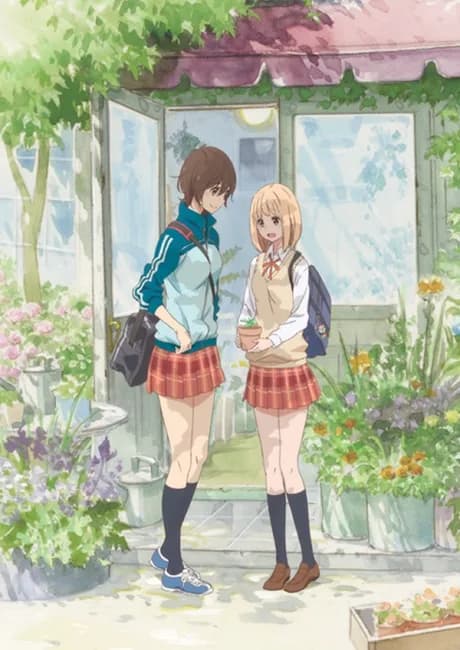 Okładka: Asagao to Kase-san.