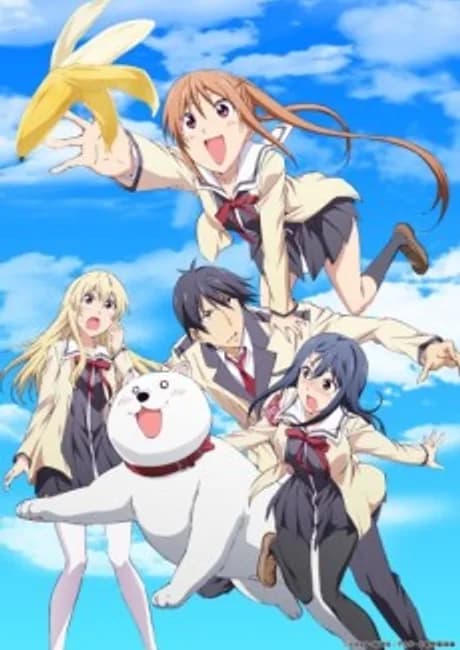 Okładka: Aho-Girl