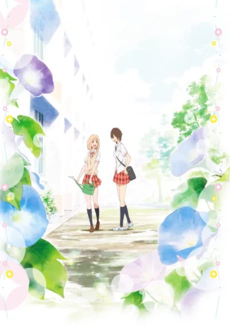 Okładka: Kimi no Hikari: Asagao to Kase-san.