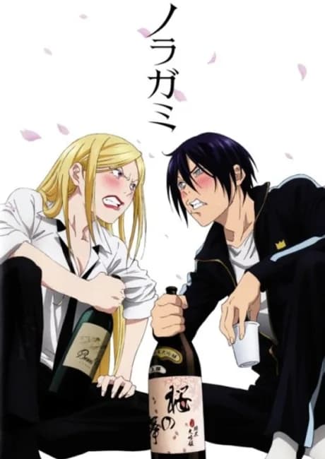 Okładka: Noragami OVA