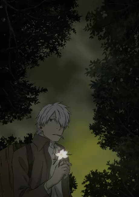 Okładka: Mushishi: Hihamukage