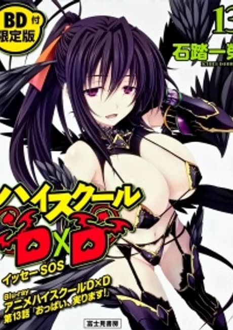 Okładka: High School DxD OVA