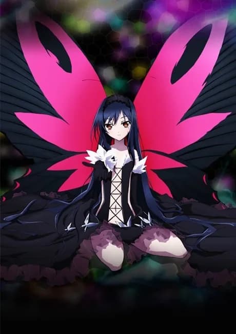 Okładka: Accel World EX