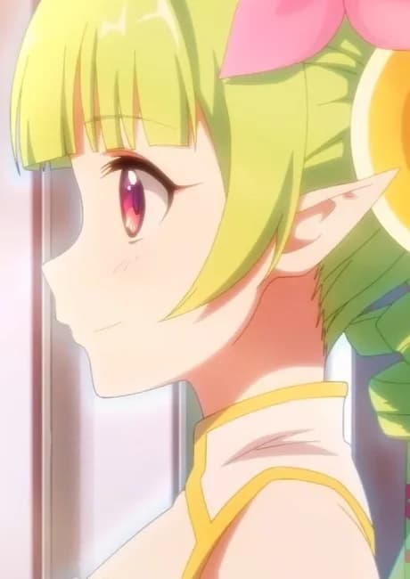 Okładka: Princess Connect! Michibiki no Hatsuhana: Fiore Storia