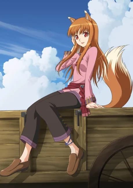 Okładka: Ookami to Koushinryou II
