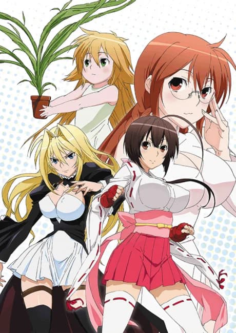 Okładka: Sekirei