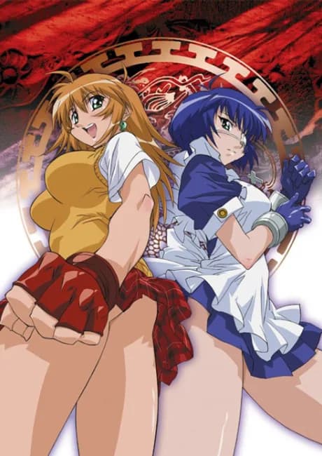 Okładka: Ikkitousen