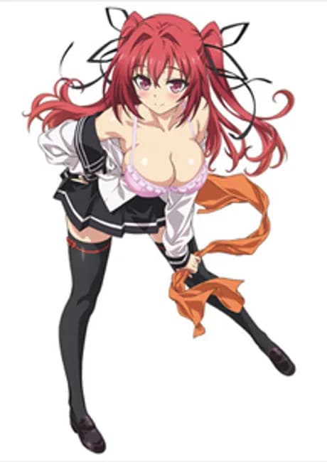 Okładka: Shinmai Maou no Testament: Loli Ero Succubus Maria no Characommentary Tsuki Hizou Eizou