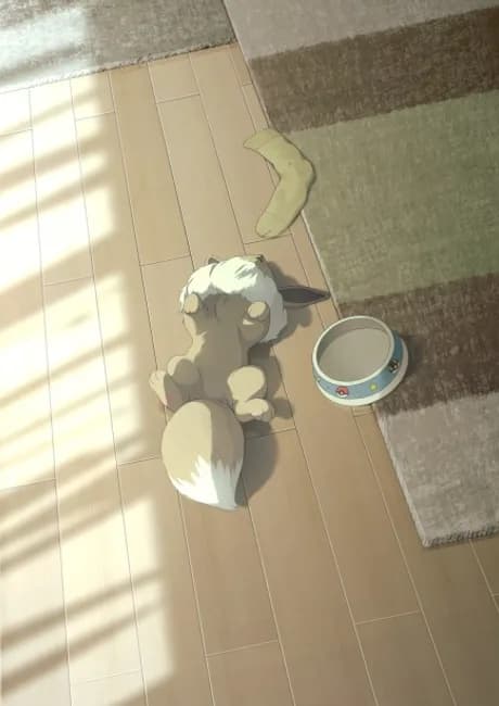 Okładka: PokéOki