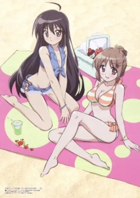 Okładka: Shakugan no Shana Special: Koi to Onsen no Kougai Gakushuu!